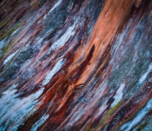 Färgglada ruttet trä — Stockfoto