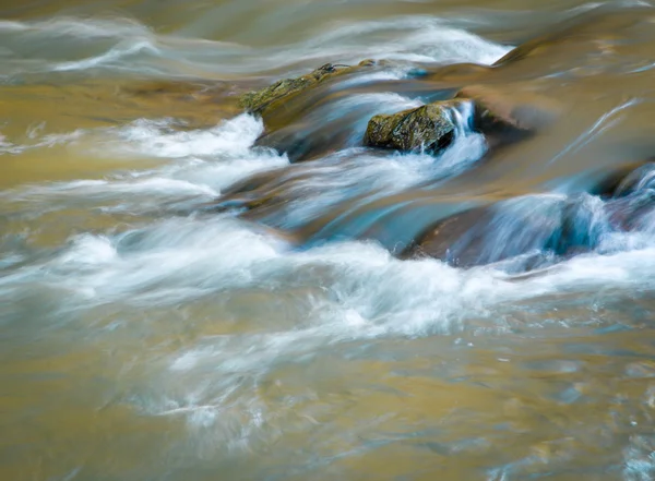 Water still life on a wild river — Stock Photo, Image