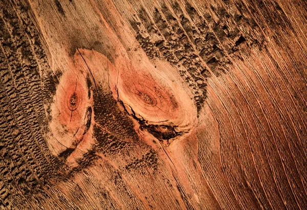 Dos nudos en madera — Foto de Stock