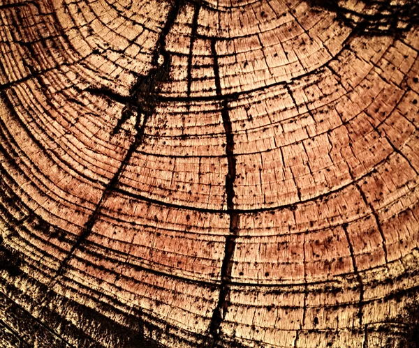 Lindamente padrão em madeira — Fotografia de Stock
