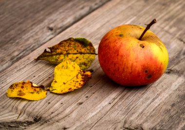 Kırmızı elma ağacı sarı yaprakları