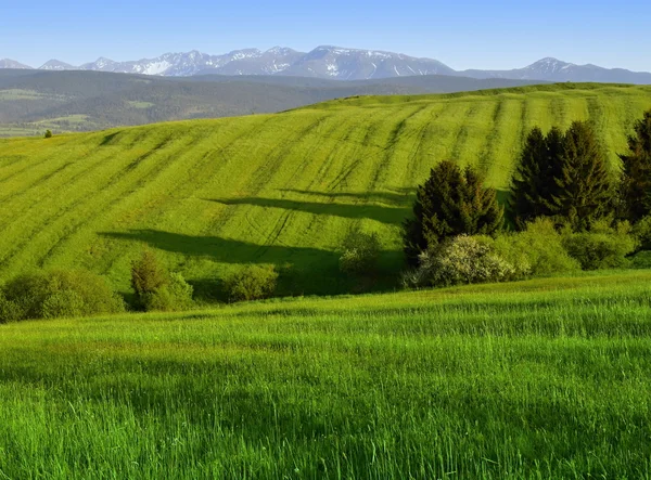 Temprano en la noche paisaje submontano — Foto de Stock