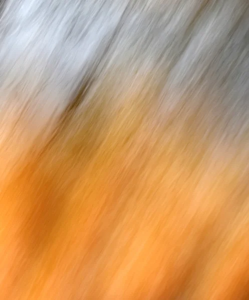 秋 blured 背景 — ストック写真
