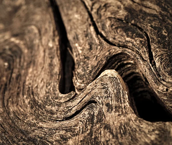 Ondulações em madeira velha — Fotografia de Stock
