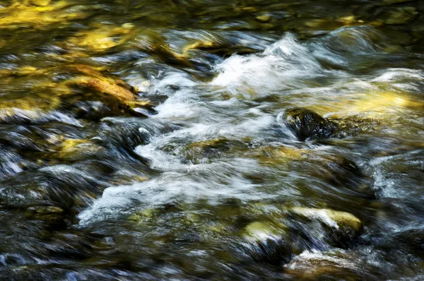 Dağ nehir Rapids — Stok fotoğraf