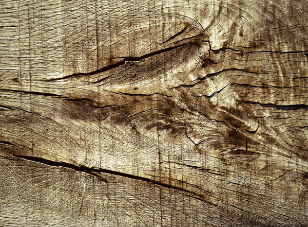 Abstract detail of oak plank