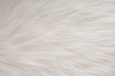 beyaz kürk dokusu tam arkaplan.