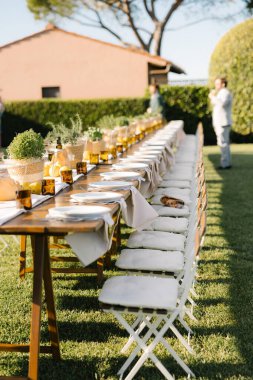 Tabaklar, çatal bıçak takımı ve yeşil bitkilerle dolu uzun kırsal masa. Al fresco kutlaması için.