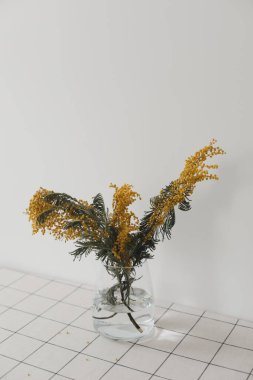 Mutfak masasında bahar çiçeği mimozası.