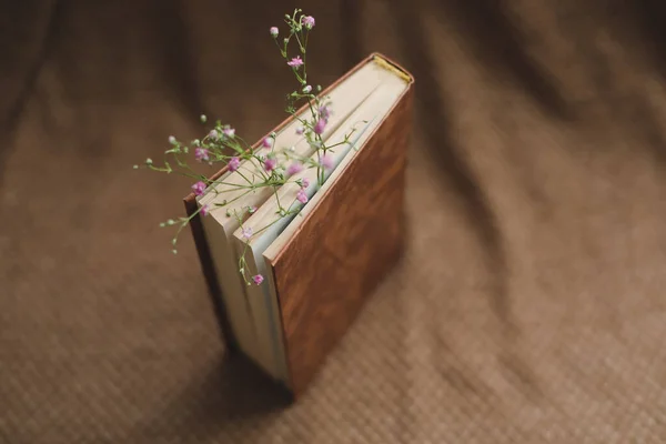 Kniha s gypsophila květy uvnitř. Byt ležel, pohled shora, maketa nahoru — Stock fotografie