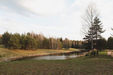 bahar manzarası, baharda orman gölü ağaçlarla çevrili, sakin su yüzeyi yansımalı, parlak güneş ışığı ve mavi gökyüzü.
