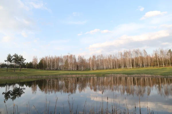 Красивый Красочный Летний Весенний Природный Пейзаж Озером Окруженным Зеленым Полем — стоковое фото