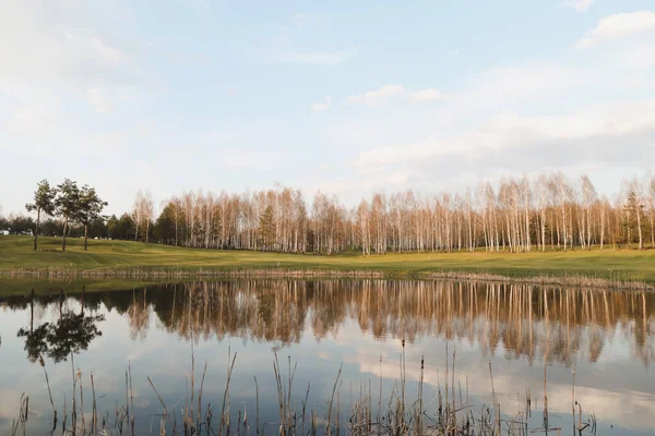 Весенний Пейзаж Лесное Озеро Весной Окружении Деревьев Спокойная Водная Поверхность — стоковое фото