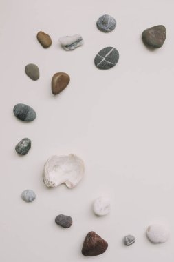 Sea shells pattern on white background. Summer, Vacation on Sea, Travel concept. Flat lay, top view