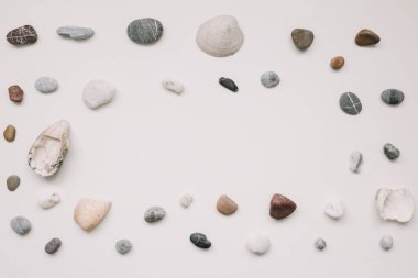 Sea shells pattern on white background. Summer, Vacation on Sea, Travel concept. Flat lay, top view