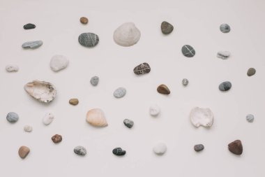 Sea shells pattern on white background. Summer, Vacation on Sea, Travel concept. Flat lay, top view
