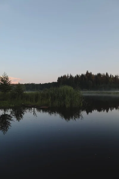 Летний вечерний сумеречный вид на живописную равнину озера с отражениями неба и деревьев — стоковое фото