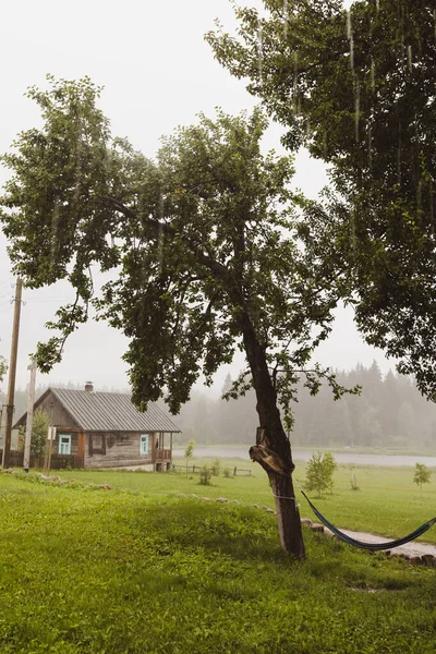 Hamacs entre les arbres sur fond de paysage estival rural pluvieux — Photo