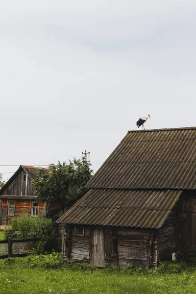 Storch auf dem Dach eines Holzhauses im Dorf — Stockfoto