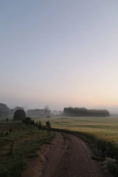 Campo pintoresco y paisaje paisajístico al amanecer en verano — Foto de Stock