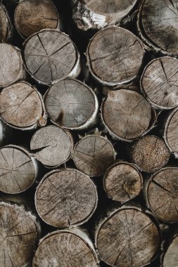 Farklı boyutlarda ahşap kütüklerin dokuları bir yığın halinde duruyor.