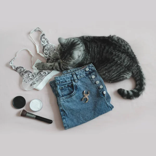 Divertido gato acostado en las mujeres ropa y accesorios en cama vista superior —  Fotos de Stock