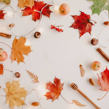 Güzel sonbahar düzlüğü, turuncu ve kırmızı yapraklardan bir çerçeve. Yaratıcı sonbahar şablonu, kartpostal. Boşluğu kopyala, üst görünüm.