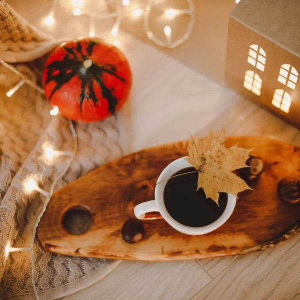 Accogliente natura morta autunnale con zucca e una tazza di caffè su un plaid beige lavorato a maglia con luci bokeh — Foto Stock