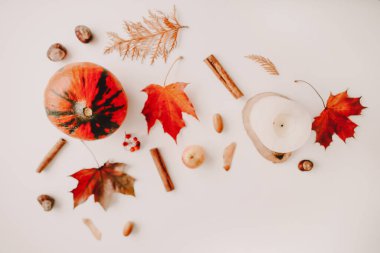 Turuncu ve kırmızı yapraklı güzel sonbahar düzlüğü. Yaratıcı sonbahar deseni