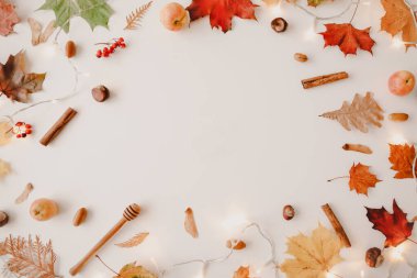 Güzel sonbahar düzlüğü, turuncu ve kırmızı yapraklardan bir çerçeve. Yaratıcı sonbahar şablonu, kartpostal. Boşluğu kopyala, üst görünüm.