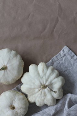 Beyaz balkabaklarından ve kabaklardan oluşan sonbahar çerçevesi üst görünümü, boşluğu kopyala. Sonbahar, Cadılar Bayramı, Şükran Günü konsepti. 