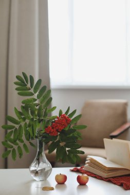 Bir vazoda, bir vazoda, rahat bir evde, kitap ve elmalarla geçen bir sonbahar hayatı.