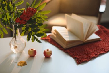Bir vazoda, bir vazoda, rahat bir evde, kitap ve elmalarla geçen bir sonbahar hayatı.