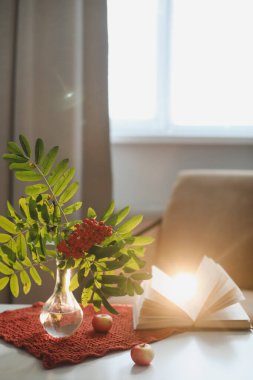 Bir vazoda, bir vazoda, rahat bir evde, kitap ve elmalarla geçen bir sonbahar hayatı.