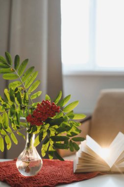 Sonbahar sakin bir hayat bir vazoda bir rowan dalı ve rahat bir ev içinde bir kitap ve elmalar ile