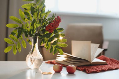 Sonbahar sakin bir hayat bir vazoda bir rowan dalı ve rahat bir ev içinde bir kitap ve elmalar ile