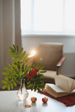 Bir vazoda, bir vazoda, rahat bir evde, kitap ve elmalarla geçen bir sonbahar hayatı.