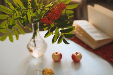 Bir vazoda, bir vazoda, rahat bir evde, kitap ve elmalarla geçen bir sonbahar hayatı.