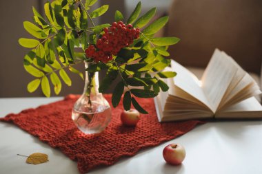 Bir vazoda, bir vazoda, rahat bir evde, kitap ve elmalarla geçen bir sonbahar hayatı.