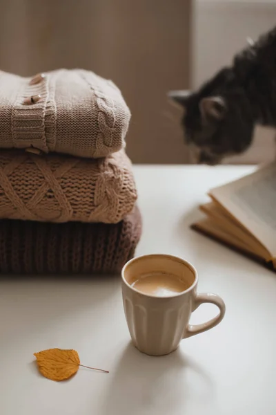 Kedi, mum, kitap ve kazaklarla dolu rahat bir ev ortamı. — Stok fotoğraf