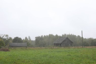 Kırsal kesimdeki manzaralı kırsal doğa..