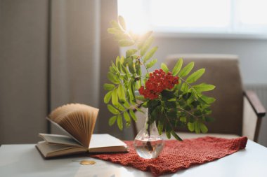 Bir vazoda, bir vazoda, rahat bir evde, kitap ve elmalarla geçen bir sonbahar hayatı.