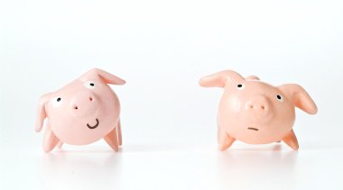 alçı yapılan domuz bebek