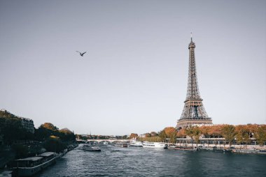 Fransa, Paris 'teki Eyfel Kulesi. Sonbahar boyunca ılık mevsimsel tonlar ve yumuşak doğal ışıkla. Klasik Fransız mimarisi ve romantik atmosferiyle Seine Nehri boyunca ikonik Avrupa seyahati.
