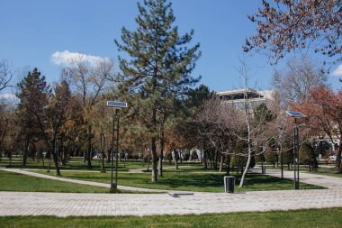 Kamu parkında güneş paneli enerji jeneratörü kullanan sokak ışıkları.