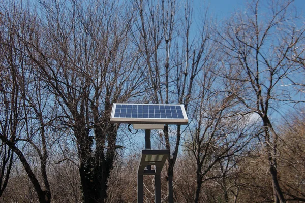 Street lights using solar panel energy generator in a public park.