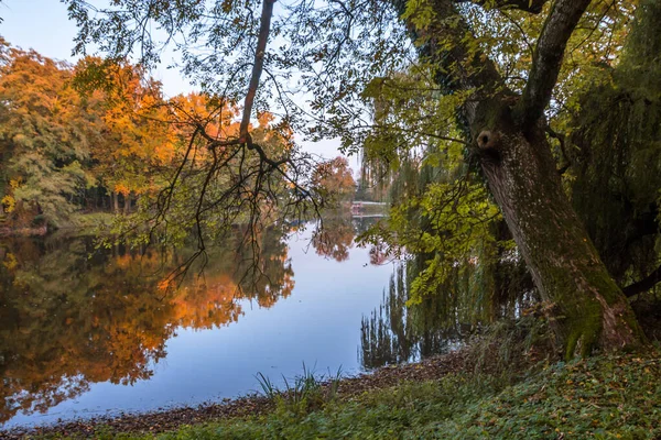 Herfst Bomen Steegje Met Kleurrijke Bladeren Het Park — Stockfoto