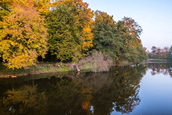 Осенние Деревья Аллея Красочными Листьями Парке — стоковое фото