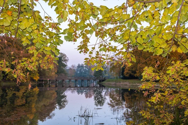 Herfst Bomen Steegje Met Kleurrijke Bladeren Het Park — Stockfoto