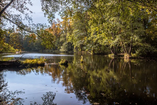 Őszi Fák Sikátora Színes Levelekkel Parkban — Stock Fotó